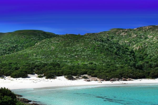 Le spiaggie di Alghero